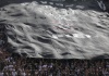 Lotado