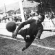 Livro sobre goleiro Barbosa ganha relan&ccedil;amento nesta ter&ccedil;a em SP
