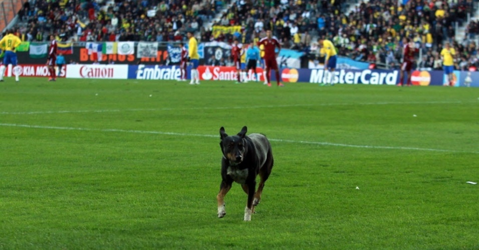 O Que Acontece Com Quem Invade O Campo