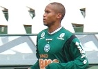Divulgação/Coritiba 