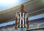 Divulgação/Site Oficial do Botafogo
