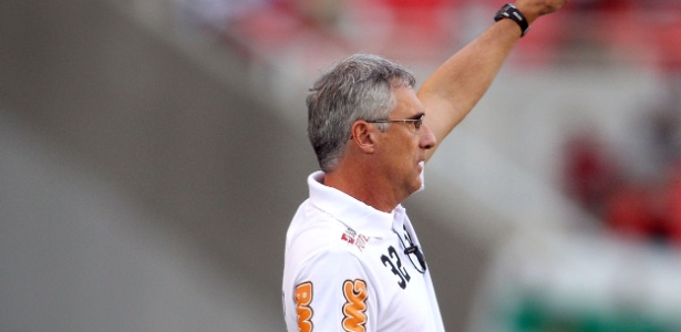 Flávio Tênius chegou a comandar o Botafogo como interino em algumas ocasiões - Fernando Soutello/AGIF