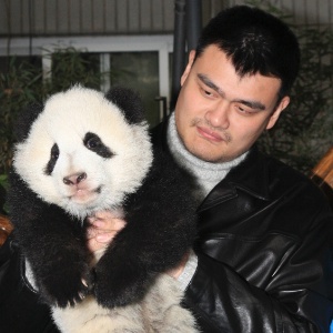Yao Ming participa da inauguração de área de preservação de pandas na China  - REUTERS/China Daily