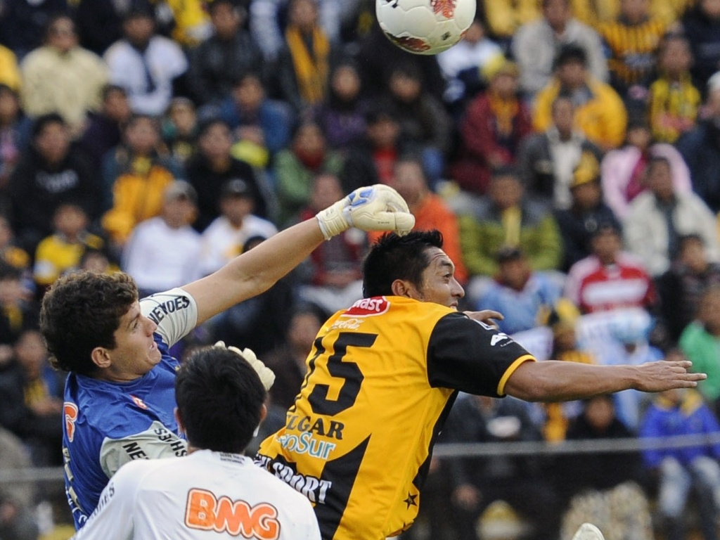 Goleiro Rafael dá soco na bola para afastar a bola da área do Santos - undefined