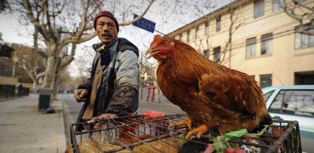 Galinha em rua de Xangai; maratonistas chineses têm evitado consumir frango para evitar doping