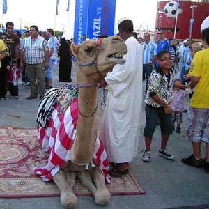 Camelo  uma das atraes em frente ao Khalifa International Stadium, em Doha, antes de amistoso