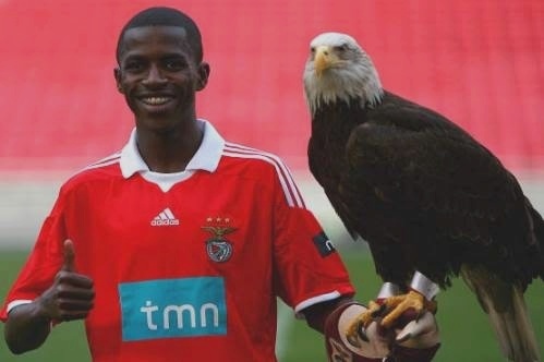 Ramires e a águia do Benfica