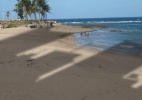 Câmara ignora Justiça e libera mais sombra em praias de Salvador; vereador revela conchavo - Arte/UOL