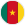 Bandeira do Camarões