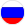 Bandeira do Rússia